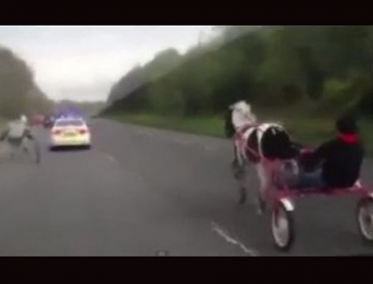 Clipul zilei! Noul sport national! Curse de cai pe autostrada! Ce surpriza au avut concurentii! 