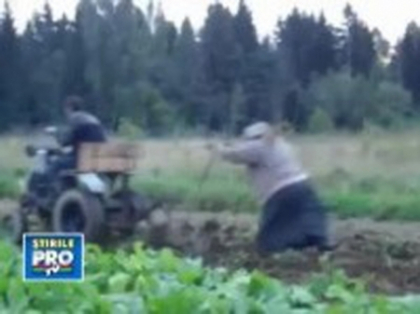 Barbatul saptamanii. Intr-un sat din Rusia au avut loc lucrarile agricole de primavara