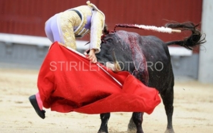Imagini dramatice la o corida din Madrid. Un matador a scapat ca prin minune din coarnele taurului