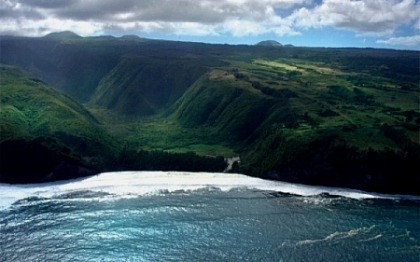 Aparitie surprinzatoare in Hawaii. Nimeni nu intelege cum au putut aceste animale sa ajunga acolo Aparitie surprinzatoare in Hawaii. Nimeni nu intelege cum au putut aceste animale sa ajunga acolo