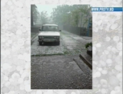 FOTO. Grindina loveste din nou recolta oamenilor! Locuitorii din raionul Briceni, disperati FOTO. Grindina loveste din nou recolta oamenilor! Locuitorii din raionul Briceni, disperati