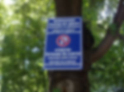 Homosexualii nu sunt exceptie! "Parcarea dupa copac! Inclusiv minoritatilor sexuale". Asta e poza zilei Homosexualii nu sunt exceptie! "Parcarea dupa copac! Inclusiv minoritatilor sexuale". Asta e poza zilei