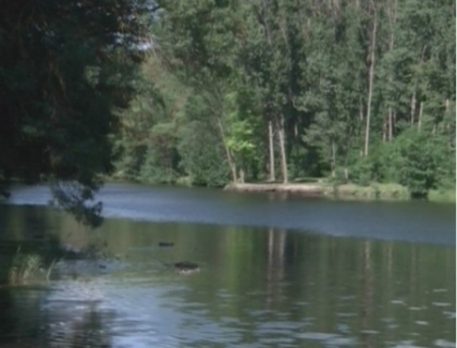 S-a inecat dupa ce a incercat sa-si salveze iubita! Tragedie cumplita pe un lac din Chisinau S-a inecat dupa ce a incercat sa-si salveze iubita! Tragedie cumplita pe un lac din Chisinau