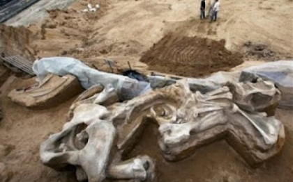 Arheologii din Serbia au descoperit primul cimitir comun din lume al unei turme de mamuti Arheologii din Serbia au descoperit primul cimitir comun din lume al unei turme de mamuti