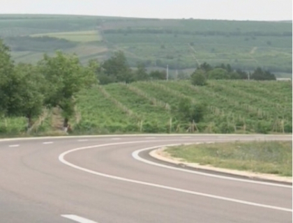 Crima infioratoare in raionul Ialoveni. O taximetrista, injunghiata in gat si abandonata in vie