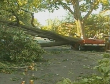 12 morti in SUA dupa o furtuna Derecho. 2 milioane de americani au ramas fara curent electric 12 morti in SUA dupa o furtuna Derecho. 2 milioane de americani au ramas fara curent electric