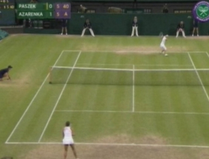 Campioana in exercitiu, Petra Kvitova, eliminata de la Wimbledon! Cine sunt semifinalistele Campioana in exercitiu, Petra Kvitova, eliminata de la Wimbledon! Cine sunt semifinalistele