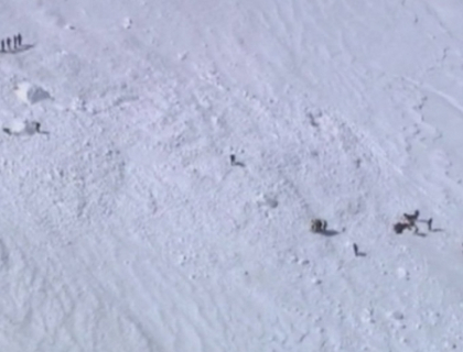 Noua alpinisti au murit intr-o avalansa din masivul Mont Blanc Noua alpinisti au murit intr-o avalansa din masivul Mont Blanc