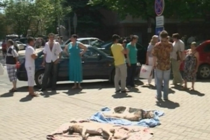 Trei caini morti in fata primariei! Protestatari: Primaria i-a otravit! Ce replica a avut Chirtoaca Trei caini morti in fata primariei! Protestatari: Primaria i-a otravit! Ce replica a avut Chirtoaca