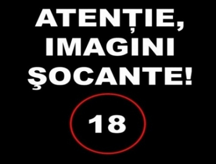 VIDEO SOCANT cu rebeli sirieni care executa partizani ai regimului lui Bashar al-Assad la Alep VIDEO SOCANT cu rebeli sirieni care executa partizani ai regimului lui Bashar al-Assad la Alep