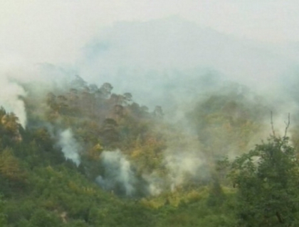 Incendiile de vegetatie au cuprins si Bosnia! Mai multe sate au fost evacuate Incendiile de vegetatie au cuprins si Bosnia! Mai multe sate au fost evacuate