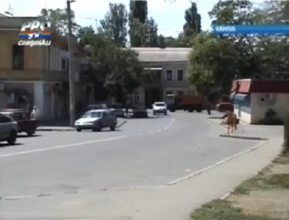 Trei moldoveni au murit intr-un accident in Ucraina. Soferul avea viteza excesiva Trei moldoveni au murit intr-un accident in Ucraina. Soferul avea viteza excesiva