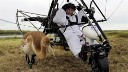 FOTO. Putin, spaima cocorilor! Mai multe pasari ghidate de liderul de la Kremlin au murit FOTO. Putin, spaima cocorilor! Mai multe pasari ghidate de liderul de la Kremlin au murit