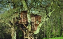 Ce a descoperit o vedeta de la Hollywood cand a verificat casa din copac. "Are nevoie de psihiatru" Ce a descoperit o vedeta de la Hollywood cand a verificat casa din copac. "Are nevoie de psihiatru"