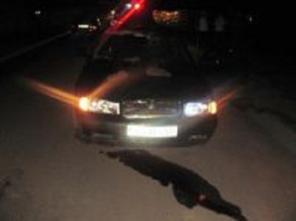 FOTO. Barbat, mort pe loc dupa ce a fost luat pe capota unui automobil. Soferul, minor!