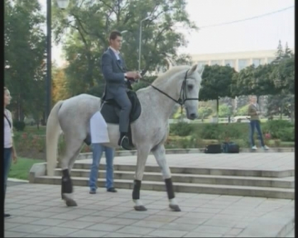 Au aparut caii de pe tabla de sah din scuarul Catedralei! Ce au facut tinerii ca sa atraga atentia autoritatilor
