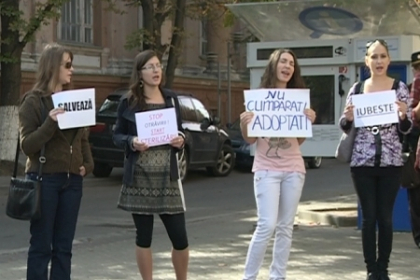 Si animalele au drepturi! Zeci de tineri au iesit in strada cerand un adapost pentru maidanezi Si animalele au drepturi! Zeci de tineri au iesit in strada cerand un adapost pentru maidanezi