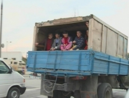 La serviciu, ca buturugile! Conditiile greu de imaginat in care sunt transportati angajatii de la Spatii Verzi La serviciu, ca buturugile! Conditiile greu de imaginat in care sunt transportati angajatii de la Spatii Verzi