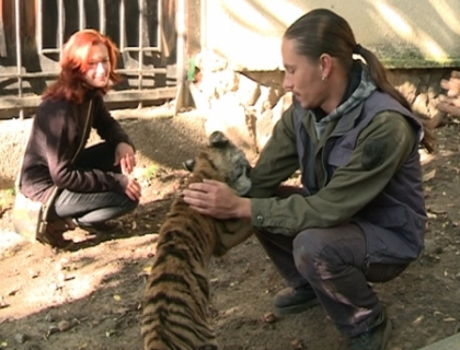 Petrece mai mult timp cu animalele decat cu sotia sa! Cum reactioneaza aceasta si ce o face geloasa Petrece mai mult timp cu animalele decat cu sotia sa! Cum reactioneaza aceasta si ce o face geloasa