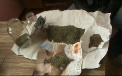 VIDEO. Risca pana la 5 ani de inchisoare pentru ca pastra acasa canepa VIDEO. Risca pana la 5 ani de inchisoare pentru ca pastra acasa canepa