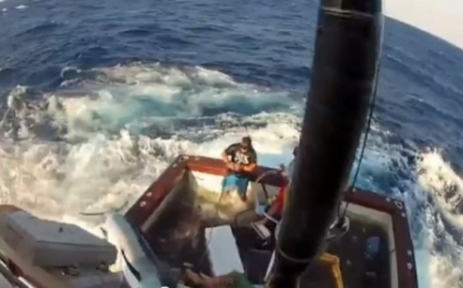 VIDEO. Momentul in care un peste spada de 270 de KILOGRAME sare in barca unor pescari australieni