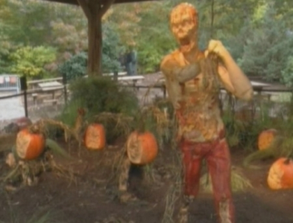 In America incep pregatirile pentru Halloween! In ce se vor transforma cei mai mari dovleci din lume