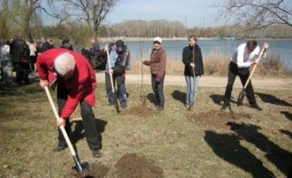 Verde pentru Moldova. De ziua crearii spatiilor verzi politicienii vor sadi copaci separat
Verde pentru Moldova. De ziua crearii spatiilor verzi politicienii vor sadi copaci separat