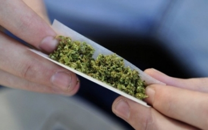 Colorado si Washington, primele state americane care legalizeaza consumul recreativ de canabis