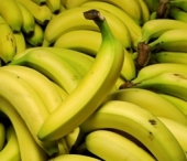 In cativa ani, bananele ar putea sa dispara! In cativa ani, bananele ar putea sa dispara!