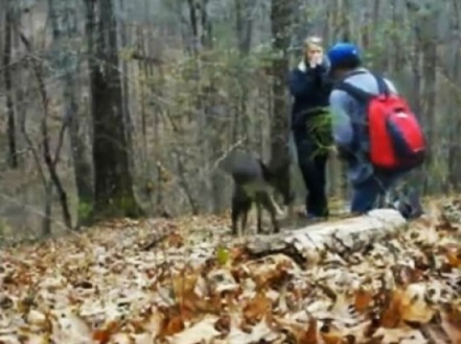 Intrebarea la care nu o sa aflam niciodata raspunsul. Cineva si-a bagat nasul unde nu trebuie. VIDEO Intrebarea la care nu o sa aflam niciodata raspunsul. Cineva si-a bagat nasul unde nu trebuie. VIDEO
