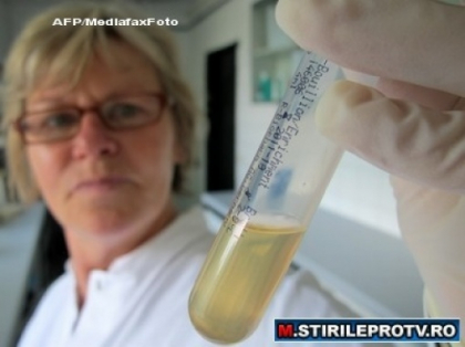 Epidemia provocata de E.coli in Europa ar putea veni de la un aliment preferat de femei Epidemia provocata de E.coli in Europa ar putea veni de la un aliment preferat de femei