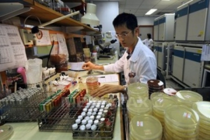 Primul caz de gripa aviara la om, depistat in Hong Kong, din 2003