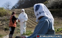 Radiatii mai scazute la Fukushima. Japonia nu renunta la energia nucleara