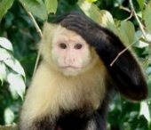Top 10 cele mai bizare ritualuri de imperechere in lumea animala Top 10 cele mai bizare ritualuri de imperechere in lumea animala