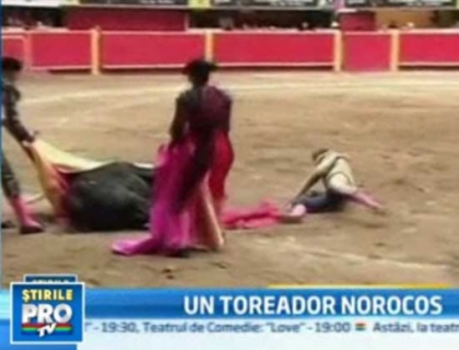 Matador aruncat la pamant de taur in timpul coridei Matador aruncat la pamant de taur in timpul coridei