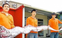 FOTO. Monstru marin descoperit in Taiwan, semn prevestitor pentru tsunami? FOTO. Monstru marin descoperit in Taiwan, semn prevestitor pentru tsunami?