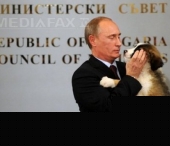 Vezi ce sugestii de nume a primit Putin pentru catelul oferit de premierul bulgar Vezi ce sugestii de nume a primit Putin pentru catelul oferit de premierul bulgar