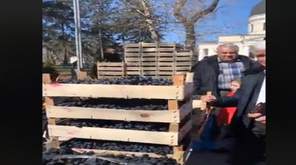 Zeci de producatori autohtoni care au ramas cu roada in depozite, prezenti la un targ in centrul capitalei - VIDEO Zeci de producatori autohtoni care au ramas cu roada in depozite, prezenti la un targ in centrul capitalei - VIDEO
