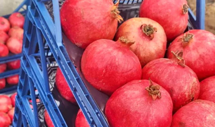 Peste două tone de rodii, nimicite. ANSA explică ce au arătat analizele de laborator