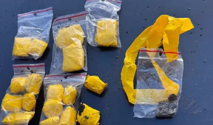 Captură de hașiș de peste 100 de mii de lei, scoasă din circuit. Un tânăr din capitală, cercetat penal - VIDEO