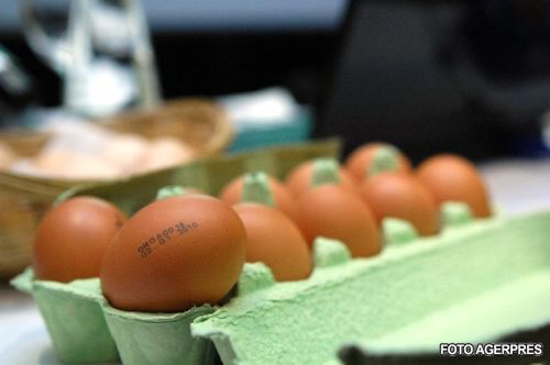 Cu ce se curata stampila de pe oua