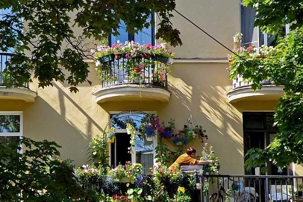 Cum sa iti faci o gradina frumoasa pe balcon. Galerie FOTO pentru inspiratie Cum sa iti faci o gradina frumoasa pe balcon. Galerie FOTO pentru inspiratie