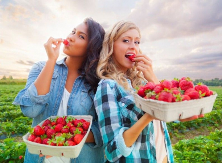 Cresterea capsunelor – una dintre cele mai profitabile afaceri din Moldova. Din sera pornesc cu un pret, dar pana ajung pe rafturile magazinelor, acesta creste considerabil
Cresterea capsunelor – una dintre cele mai profitabile afaceri din Moldova. Din sera pornesc cu un pret, dar pana ajung pe rafturile magazinelor, acesta creste considerabil