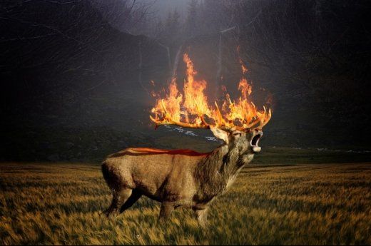 Focul e de neoprit. Imagini sfasietoare din Siberia