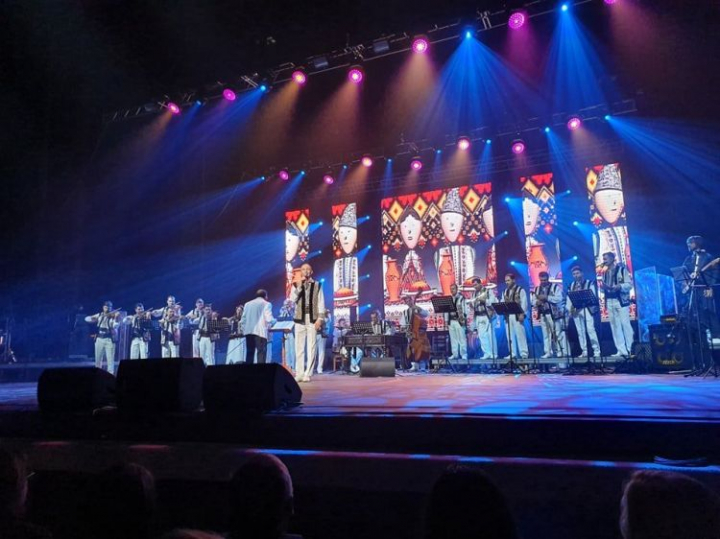 Concertul PRO TV - live pe paginile de pe retelele de socializare ale lui Ion Paladi