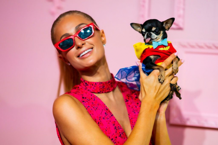 Aroganta de vedeta! Paris Hilton i-a luat cainelui geanta de 5.500 de dolari Aroganta de vedeta! Paris Hilton i-a luat cainelui geanta de 5.500 de dolari