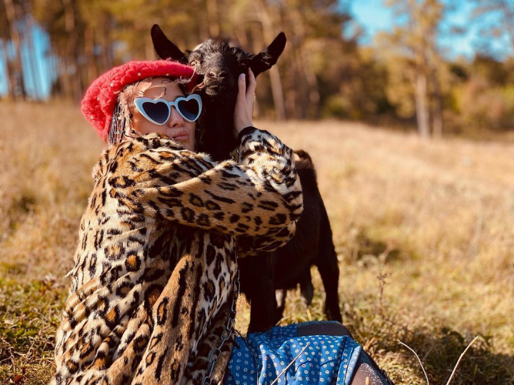 A fost pe dealuri, s-a pupat cu capra si s-a distrat! Victoria Rosca: „Ca orice artist, suferim si noi de lipsa dragostei si atentiei publicului” - VIDEO A fost pe dealuri, s-a pupat cu capra si s-a distrat! Victoria Rosca: „Ca orice artist, suferim si noi de lipsa dragostei si atentiei publicului” - VIDEO