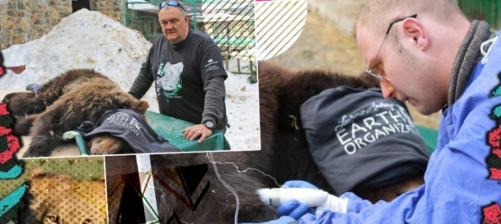 Razboiul l-a fortat sa plece din Ucraina, dar dragostea pentru animale l-a facut sa se intoarca: „Ucraina este casa mea de 11 ani si trebuia sa fac ceva” Razboiul l-a fortat sa plece din Ucraina, dar dragostea pentru animale l-a facut sa se intoarca: „Ucraina este casa mea de 11 ani si trebuia sa fac ceva”