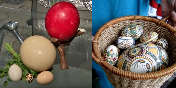 Vrei sa iti surprinzi invitatii in ziua de Pasti? Ouale de strut, lebada, paun sau fazan iti vin in ajutor! Afla ce suma de bani trebuie sa scoti din buzunar pentru un asemenea ou, dar si modul spectaculos in care arata - VIDEO Vrei sa iti surprinzi invitatii in ziua de Pasti? Ouale de strut, lebada, paun sau fazan iti vin in ajutor! Afla ce suma de bani trebuie sa scoti din buzunar pentru un asemenea ou, dar si modul spectaculos in care arata - VIDEO