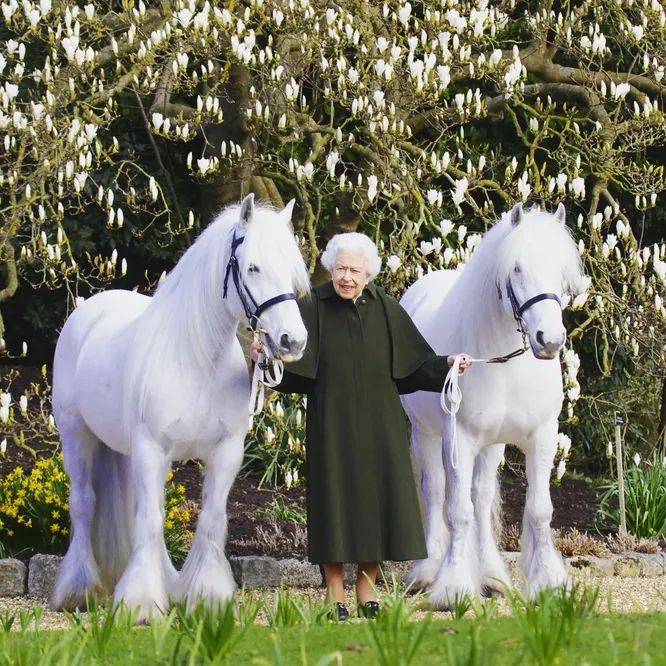 Regina Elisabeta a II-a implineste azi 96 de ani. Unde va sarbatori suveranul britanic - FOTO